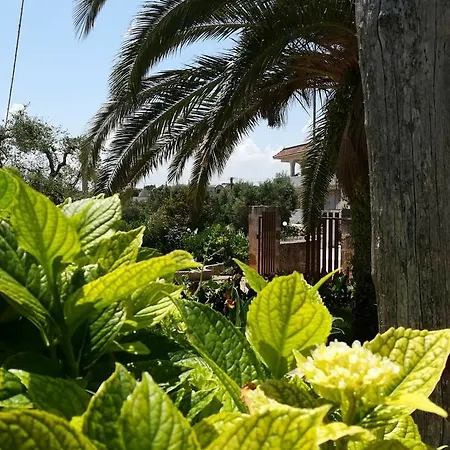 Ξενοδοχείο με διαμερίσματα Residenza Aurora 3*