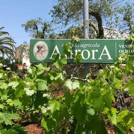 公寓式酒店 Residenza Aurora 奥斯图尼