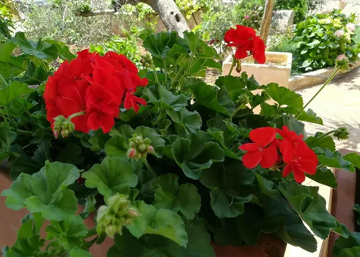 شقة فندقية Residenza Aurora