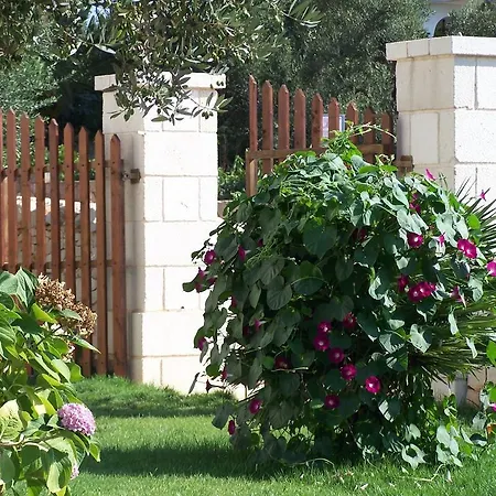 Residenza Aurora アパートホテル