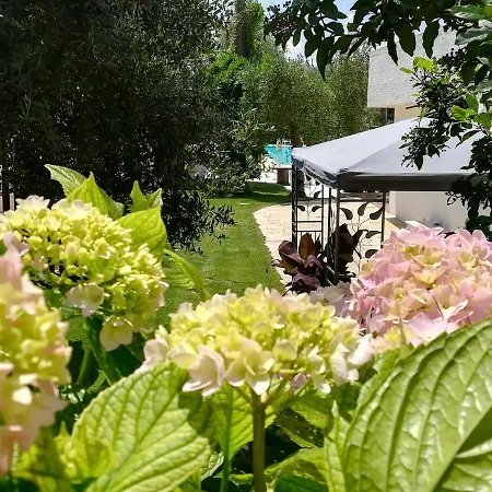 Residenza Aurora アパートホテル オストゥーニ