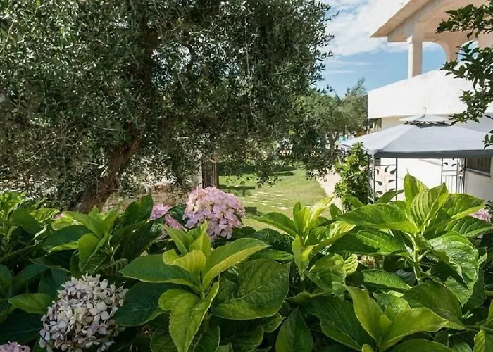 Apart-hotel Residenza Aurora